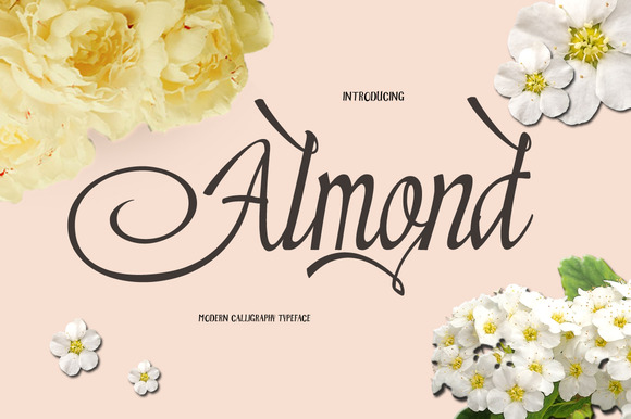 Almond: A Brush Script Font That Elevates Brand Identity