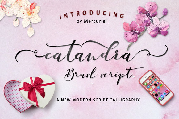 Catandra Script: The Modern Typeface for Authentic Branding
