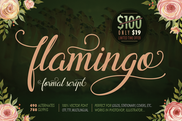 Flamingo Font Review: A Handcrafted Script for Modern Branding