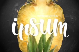 Ipsum Script: The Modern Typeface for Polished Branding