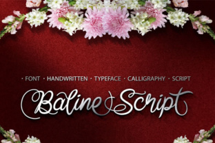Real-World Review: Is Baline Script Worth Your Next Brand Project?