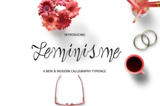 Review: Why Feminisme Fits Real Brand Work