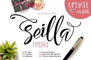 Seilla Script: The Modern Typeface for Elevating Your Brand Identity