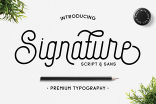 Signature Typeface Review: A Creative Font for Campaign Design