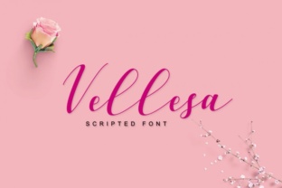 Vellesa Script: A Designer's Real-World Review for Branding